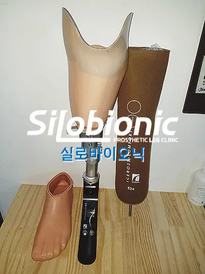 탄소섬유 에너지 저장 의족 발, 트리톤·탈레오·프로플렉스·엘리트2는 무엇이 다른가요?